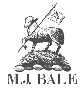 M.J Bale